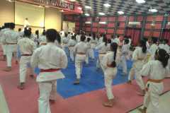 IMG-20190817-WA0031