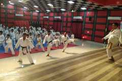 IMG-20190817-WA0045