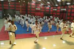 IMG-20190817-WA0050