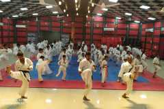 IMG-20190817-WA0052