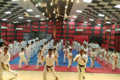 IMG-20190817-WA0053