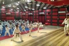 IMG-20190817-WA0064